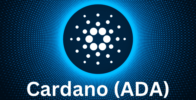 揭秘下一波牛市：20倍潜力币详细解析，值得收藏！