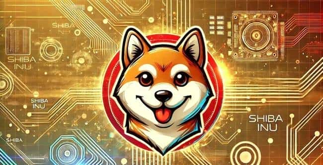 揭秘未来财富密码：三大MEME币或将迎来暴涨行情