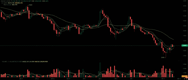 2025年潜力黑马曝光:这4个低市值山寨币或续写百倍神话!