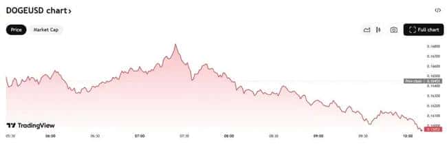 狗狗币暴跌50%！现在是抄底良机，或能实现100%收益？