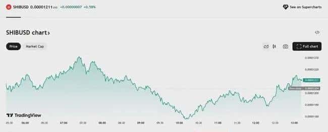 SHIB暴跌43%引发市场恐慌，抄底时机来临？