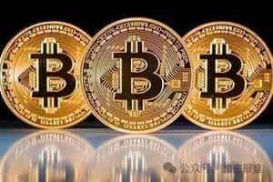 币圈生存法则:揭秘成功的关键要素