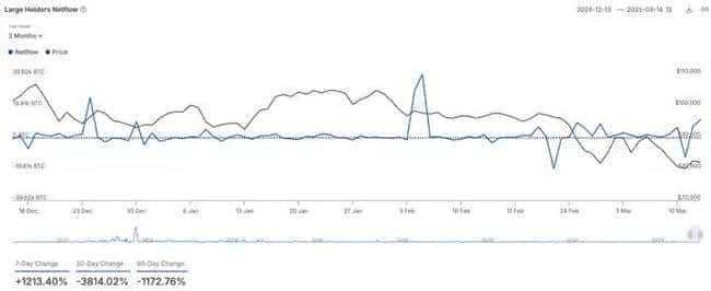 鲸鱼巨资扫货，这些加密货币或将迎来暴涨行情！