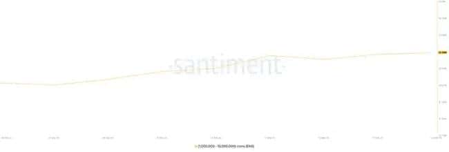 鲸鱼巨资扫货，这些加密货币或将迎来暴涨行情！