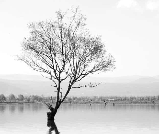 币圈传奇宝二爷：从牛肉摊到比特币庄园的割韭菜风云史
