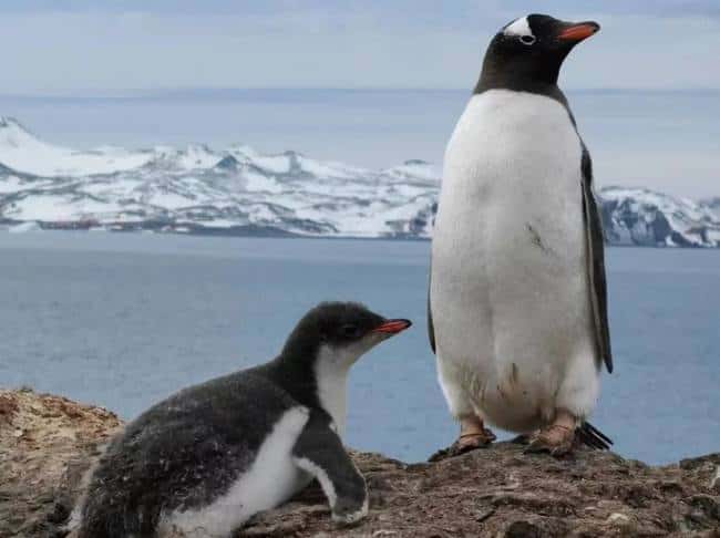 币圈再入门：揭秘空投策略，普通人翻身的致胜之道！