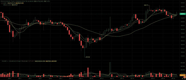 2023年四大山寨币潜力爆发，利好政策助力收益翻倍！