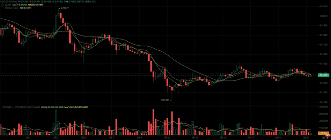 揭秘山寨币新主线：这几种加密货币或将暴涨百倍！