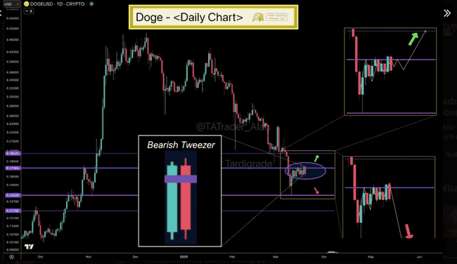 狗狗币(DOGE)关键支撑位再受考验,分析师深度剖析未来走势!