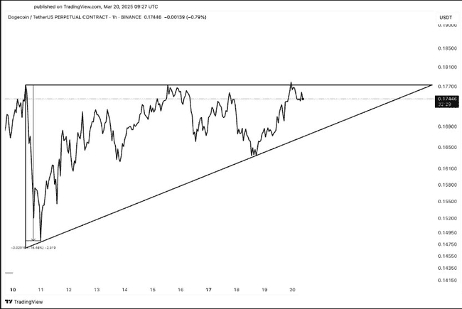 狗狗币(DOGE)关键支撑位再受考验,分析师深度剖析未来走势!