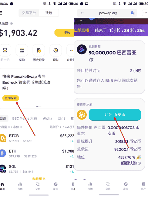 币安钱包打新$BR大获成功：深度复盘揭秘，收益率惊人达440%！