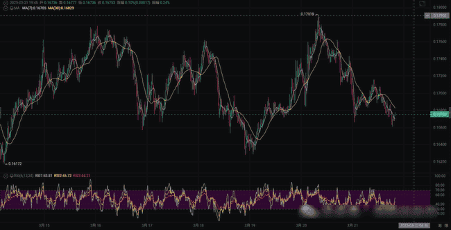 狗狗币风暴重燃！马斯克神秘暗示引发抄底还是逃顶热议？