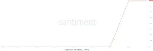 震荡市场下鲸鱼囤币动向：热门山寨币投资分析与上车机会解析