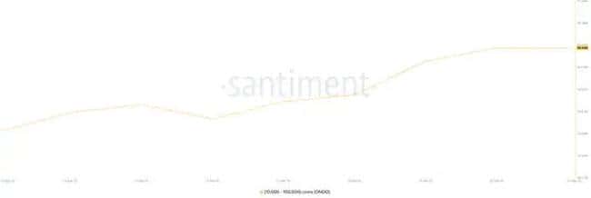 震荡市场下鲸鱼囤币动向：热门山寨币投资分析与上车机会解析