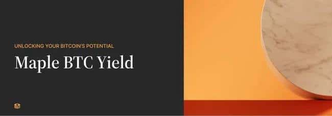 全球放水背景下，精选7大百倍潜力加密货币投资机会清单