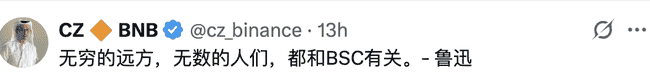 币圈热门！鲁迅语录引发热议，CZ回应关联BSC，LUXUN币价飙升破900万