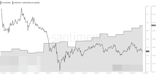 狗狗币价格飙升！鲸鱼账户累积1.2亿DOGE，市场乐观情绪高涨