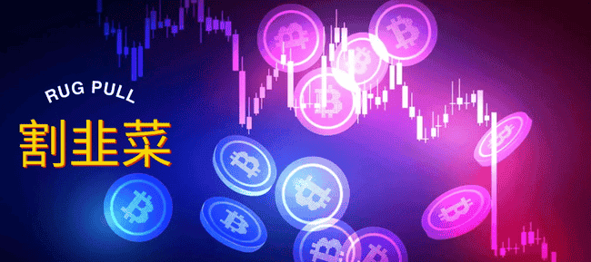 币圈现状：韭菜收割场的形成与警示