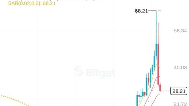 币圈现状：韭菜收割场的形成与警示