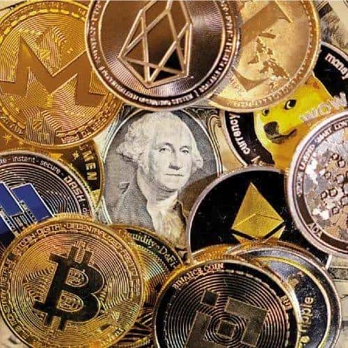 币圈现状：韭菜收割场的形成与警示