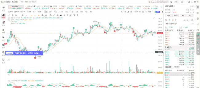 今日山寨热门币投资指南:精选两种潜力币种深度解析