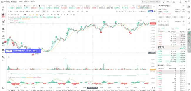 今日山寨热门币投资指南:精选两种潜力币种深度解析