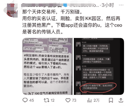 天体币神话：十年连涨，市值飙至2000万亿，韭菜机遇还是陷阱？