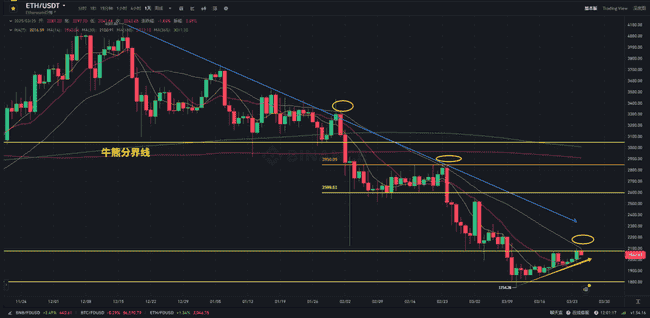 3月25日币市观察：关税加征在即，减息未定，比特币涨势趋缓，山寨币走势待考