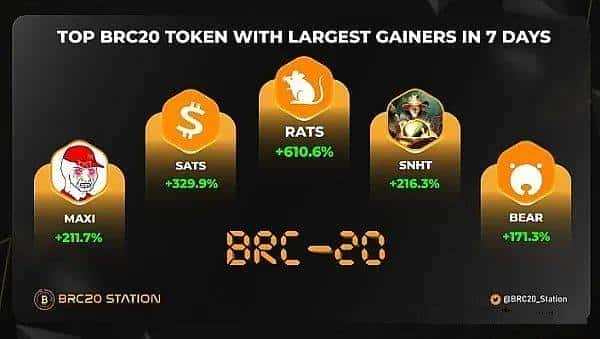 揭秘潜力币种RATS：每日一币深度解析