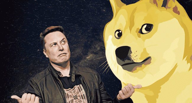 狗狗币暴涨预测点燃市场狂热