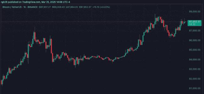 比特币惊天逆转！重返关键位，涨幅或飙升至14%！