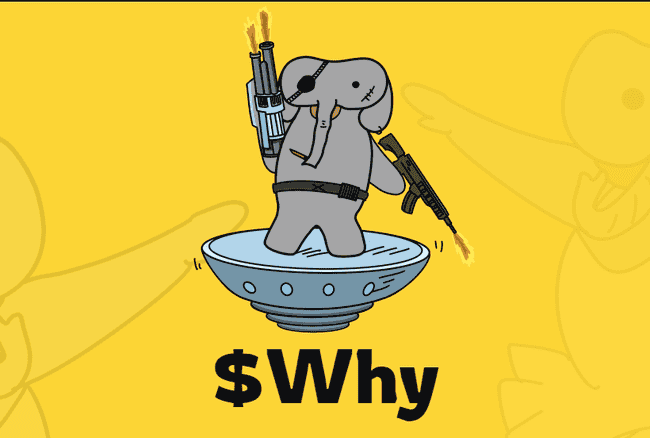 币安首期投票上币尘埃落定，BANANAS31与WHY荣登前二宝座