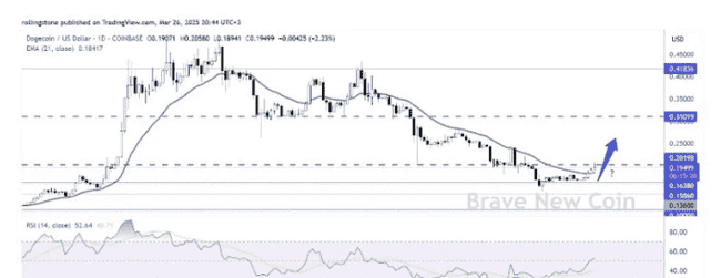 XRP利好引爆市场，狗狗币（DOGE）强势冲击0.31美元阻力位！