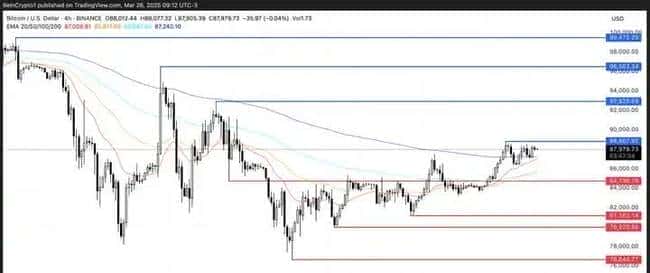 巨鲸疯狂扫货！比特币囤积量激增300%，10万美元大关一触即发？