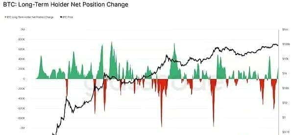 山寨币投资抉择：应追涨还是保持谨慎？