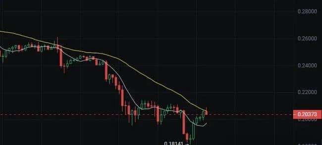三月币圈迎来开门红：关键信号预示反弹行情，这三个潜力币或成翻倍黑马！