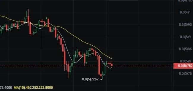 三月币圈迎来开门红：关键信号预示反弹行情，这三个潜力币或成翻倍黑马！