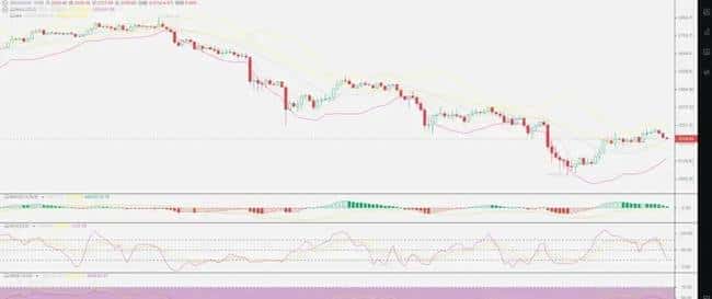 特朗普影响下的币圈：能否再次触发牛市奇迹？