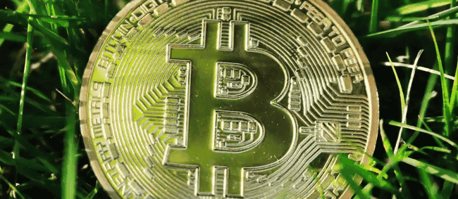 比特币VS山寨币：关键指标引领市场风向，谁将主导狂欢？