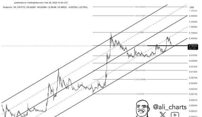 狗狗币(DOGE)关键支撑位稳固，多头能否重夺0.25美元？