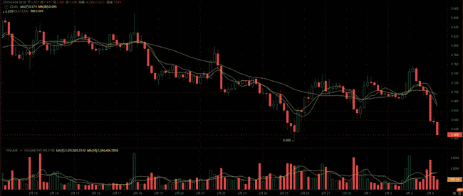币圈爆仓潮：50万人一夜归零，揭秘四大山寨币抄底良机与10倍潜力