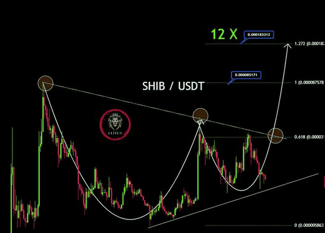 SHIB烧钱率飙升5000%,柴犬币价格能否迎来暴涨?