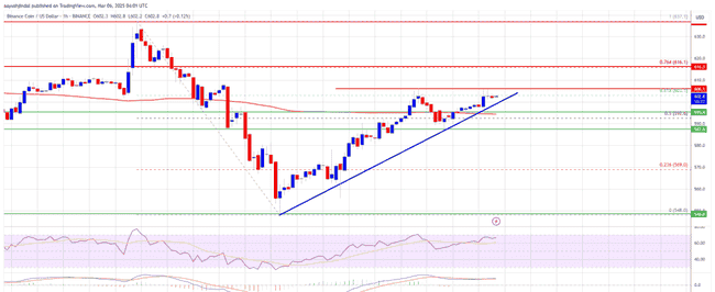 BNB（币安币）价格走势分析：延续涨势还是即将反转？