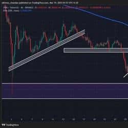 SHIB燃烧率激增640%却价格下跌:未来走势引关注
