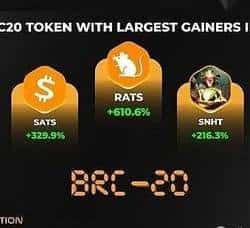 揭秘潜力币种RATS:每日一币深度解析