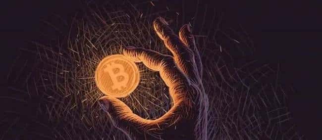 比特币霸权下山寨币凋零，币圈投资者自保策略揭秘