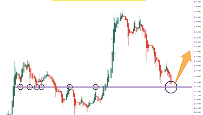 狗狗币暴跌预警！未来价格或跌幅超59%，揭秘背后原因