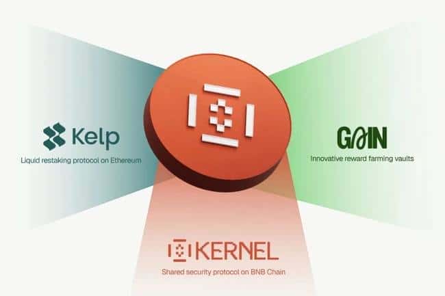 币安Megadrop第四期大放送！KernelDAO空投活动保姆级攻略来袭！