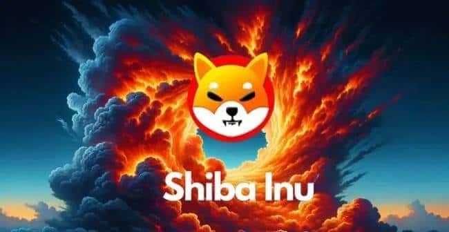 柴犬币能否突破1美元：目标是否遥不可及？