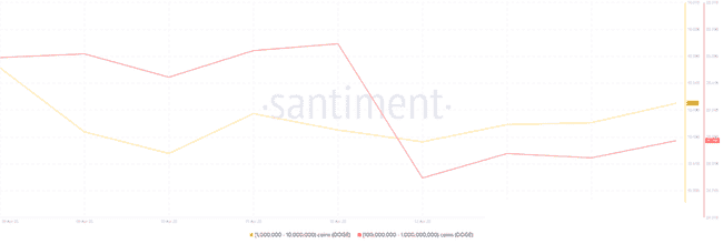 加密市场狂欢！本周五大热门山寨币即将爆发，你准备好了吗？